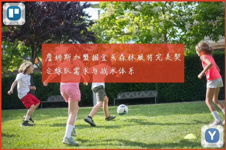 詹姆斯加盟掘金或森林狼将完美契合球队需求与战术体系
